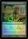 }WbNUMUO MTG  y M13-170 R Foil yÁz