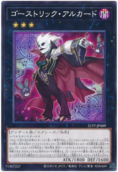 ͷ ȥå륫 21TP-JP409 Ρޥ š