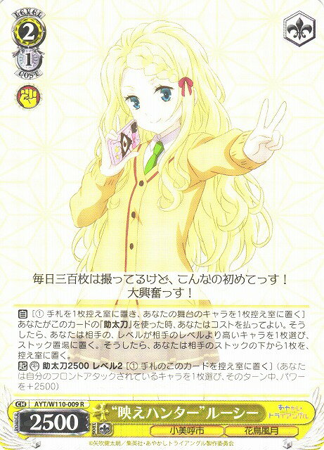 �ȱǤ��ϥ󥿡��ɥ롼���� AYT/W110-009 R ����š�