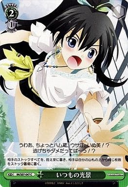 いつもの光景 IM/S07-047 C 【中古】