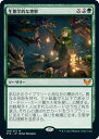 マジックザギャザリング MTG 緑 生態学的な理解 STX-128 神話レア 【中古】