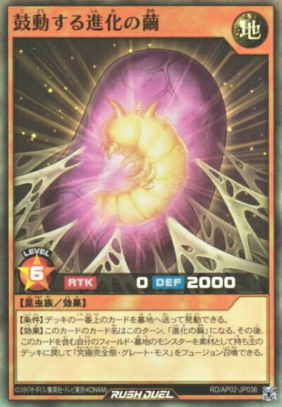 初期の進化の繭セット PSA9鑑定済〕進化の繭(初期)【スーパー】{Vol.4}《モンスター》