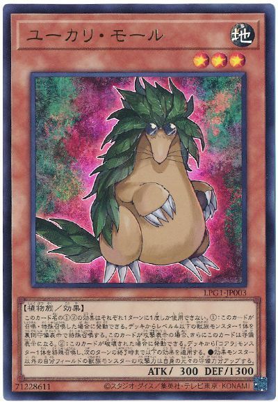 ȥ쥫 ȥȥŷԾŹ㤨ͷ 桼ꡦ⡼ LPG1-JP003 ȥ šۡפβǤʤ60ߤˤʤޤ