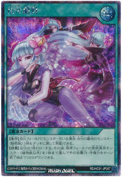 遊戯王ラッシュデュエル 花牙蘭舞 HC01-JP067 シークレット 【中古】