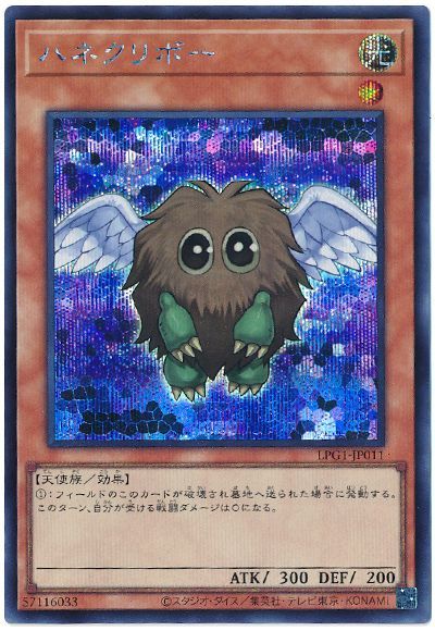 ȥ쥫 ȥȥŷԾŹ㤨ͷ ϥͥܡ LPG1-JP011 å šۡפβǤʤ40ߤˤʤޤ