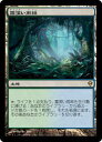 マジックザギャザリング MTG 無色 霧深い雨林 ZEN-220 レア 【中古】