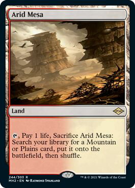 マジックザギャザリング MTG 無色 乾