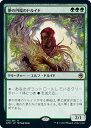 マジックザギャザリング MTG 緑 夢の円環のドルイド AFR-176 レア 【中古】