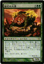 マジックザギャザリング MTG 緑 変幻の大男 DIS-90 レア Foil 【中古】