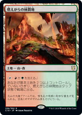 マジックザギャザリング MTG 無色 燃えがらの林間地 C19-236 レア 【中古】