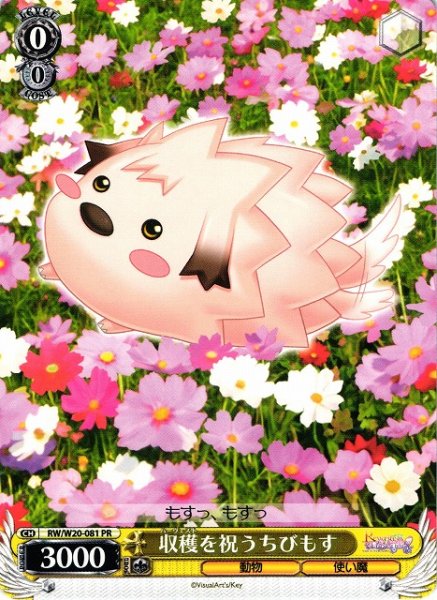 ȥ쥫 ȥȥŷԾŹ㤨ּϤˤӤ⤹ RW/W20-081 PR šۡפβǤʤ30ߤˤʤޤ