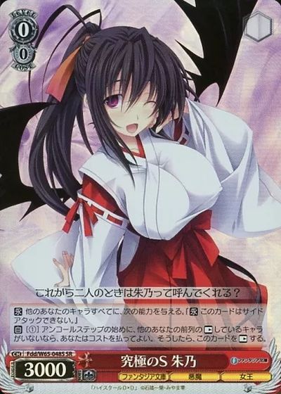究極のS 朱乃 FDD/W65-048S SR 【中古】