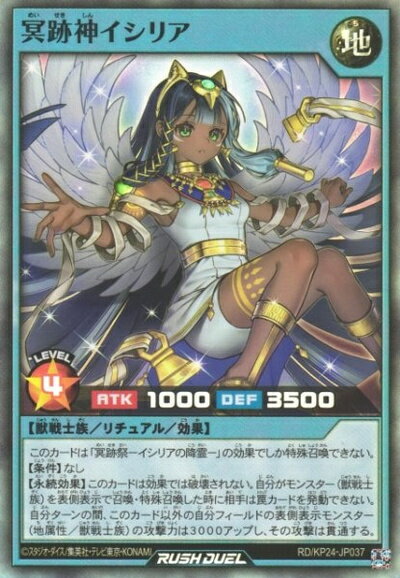 遊戯王　神のカード　特注ローダー付き 遊戯王OCGデュエルモンスターズ TACTICAL-TRY DECK 怪盗コンビEvil