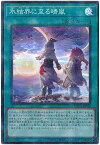 遊戯王 氷結界に至る晴嵐 TW01-JP044 スーパーパラレル 【中古】