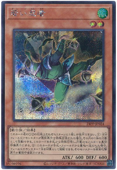 遊戯王 若い忍者 24PP-JP024 シークレット 【中古】