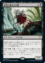 マジックザギャザリング MTG 黒 骨塚の巻きひげ菌 C20-40 レア 【中古】