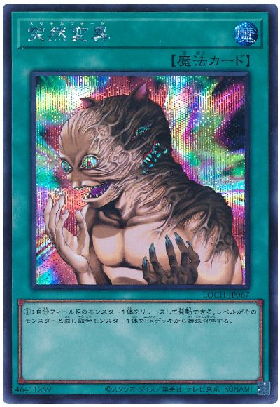 384680jat_1.jpg