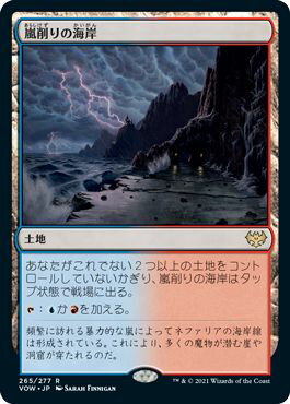 マジックザギャザリング MTG 無色 嵐削りの海岸 VOW-265 レア 【中古】