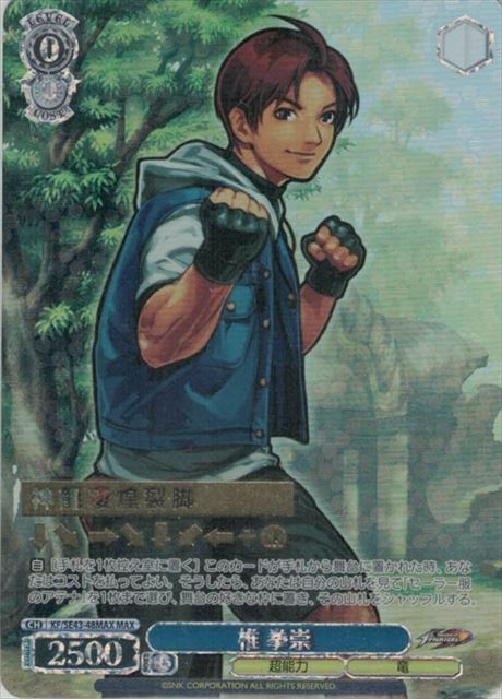 椎 拳崇 (箔押し) KF/SE43-48MAX MAX 【中古】