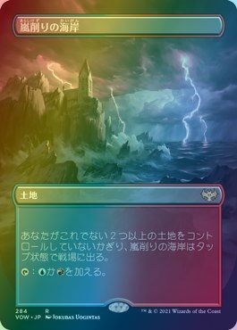 楽天市場】溢れかえる岸辺 mtgの通販