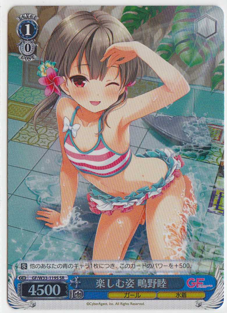 楽しむ姿 鴫野睦 GF/W33-119S SR 【中古】