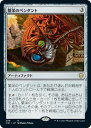 マジックザギャザリング MTG 繁栄の