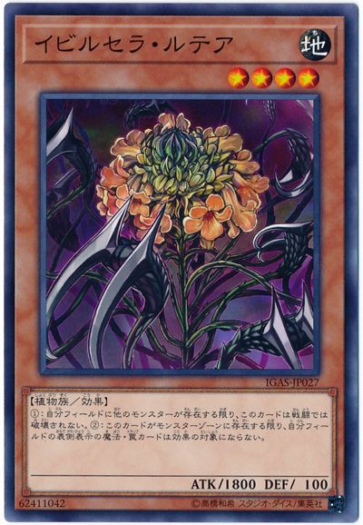 ȥ쥫 ȥȥŷԾŹ㤨ͷ ӥ륻顦ƥ IGAS-JP027 Ρޥ šۡפβǤʤ10ߤˤʤޤ