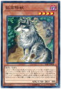 遊戯王 孤高除獣 SAST-JP030 ノーマルレア 【中古】