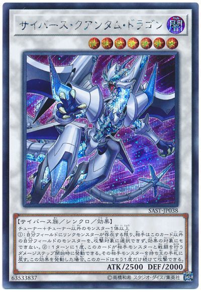 ͷ���� �����С����������󥿥ࡦ�ɥ饴�� SAST-JP038 ��������å� ����š�