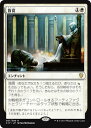 マジックザギャザリング MTG 盲従 C17-57 レア 【中古】(3)