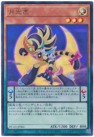 364747jat_1.jpg