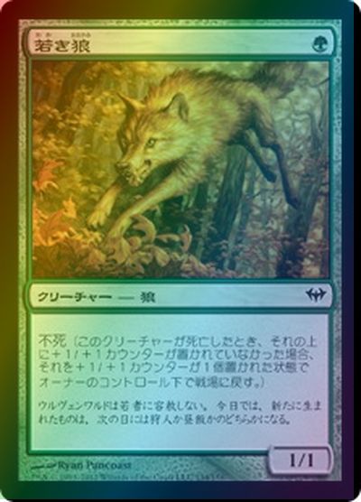 マジックザギャザリング MTG 緑 若き狼 DKA-134 コモン Foil 【中古】