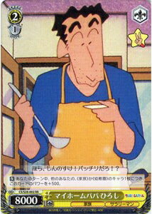 マイホームパパ ひろし CS/S28-002 RR 【中古】