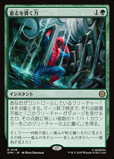 楽天市場】意志の力 mtgの通販