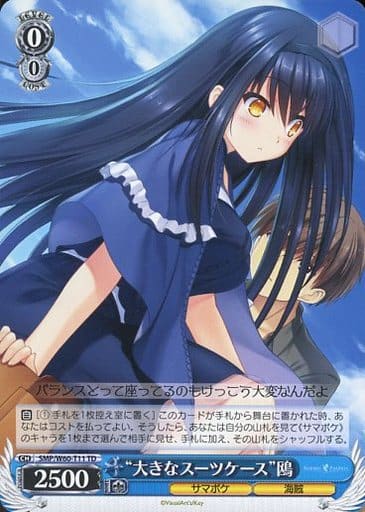 ���礭�ʥ����ĥ������ɲ� SMP/W60-T11 TD ����š�