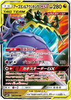 ポケモンカード アーゴヨン＆アクジキングGX SM12 066/095 RR 【中古】