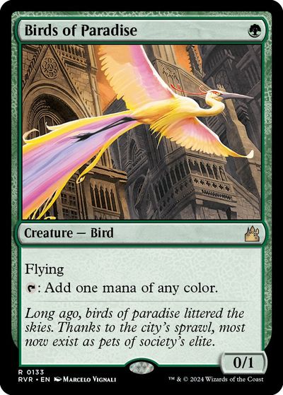 楽天市場】極楽鳥 マジックの通販
