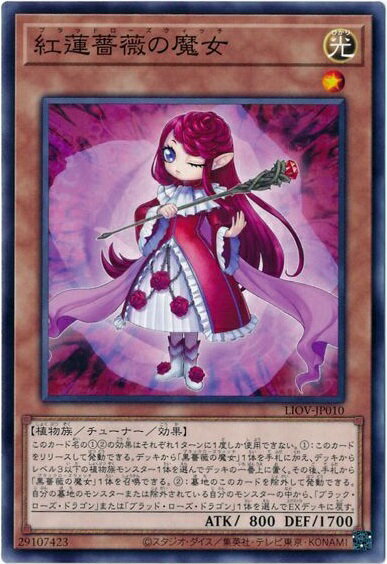 PSA9 遊戯王 紅葉の女王 初期カード ブースター4