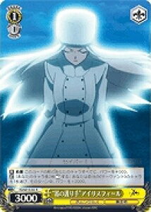 �ȴ�θ���ɥ����ꥹ�ե����� FZ/SE13-03 R ����š�