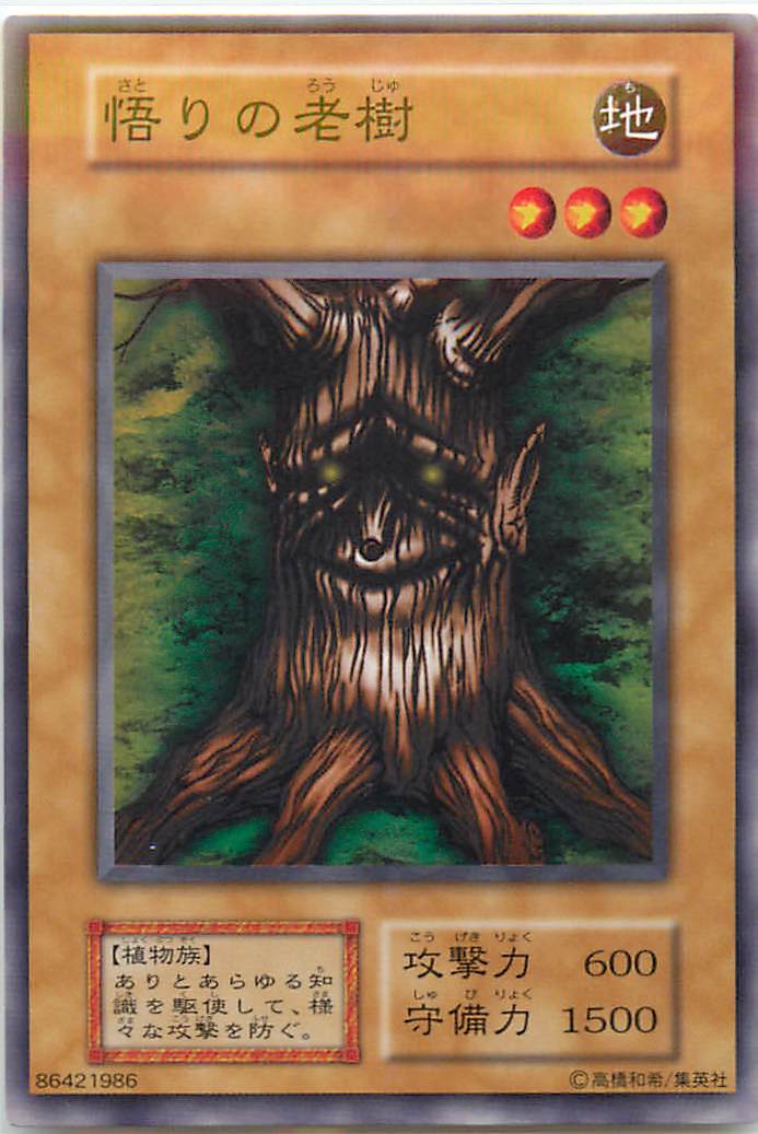 遊戯王 悟りの老樹 117-006 ノーマル 【中古】