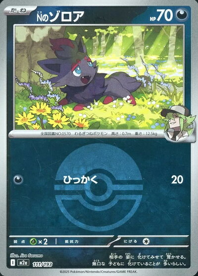 楽天市場】ポケモンカード ゾロア（コレクション｜ホビー）の通販