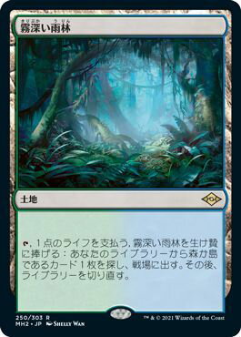 マジックザギャザリング MTG 無色 霧深い雨林 MH2-250 レア 【中古】