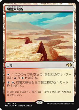 マジックザギャザリング MTG 無色 灼陽大峡谷 MH1-247 レア 【中古】
