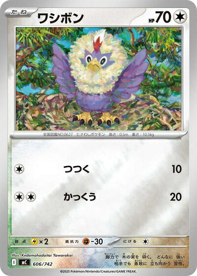 楽天市場】ポケモン ワシボンの通販