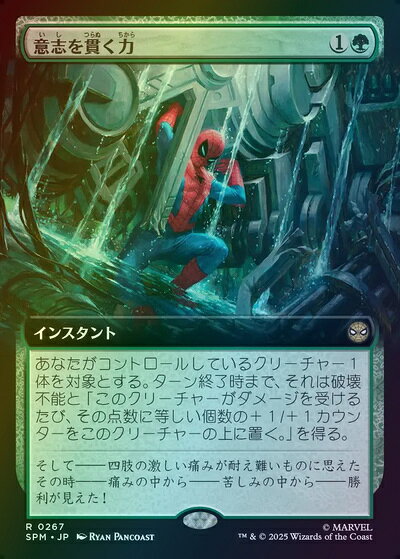 楽天市場】意志の力 mtgの通販