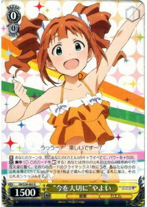 �Ⱥ������ڤˡɤ�褤 IM/S30-003 R ����š�