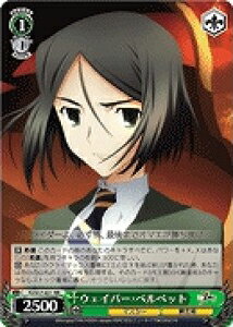 ウェイバー・ベルベット FZ/S17-031 RR 【中古】