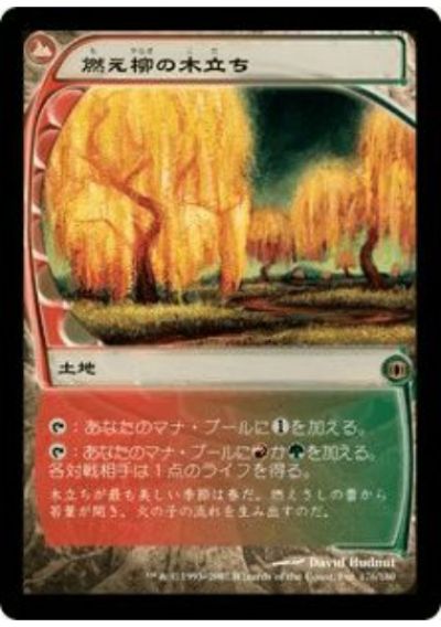 マジックザギャザリング MTG 無色 燃え柳の木立ち FUT-176 レア 【中古】