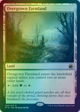 マジックザギャザリング MTG 無色 草茂る農地 MID-265 レア Foil 【中古】