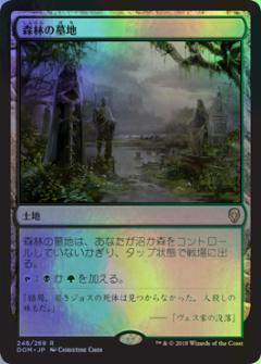 マジックザギャザリング MTG 無色 森林の墓地 DOM-248 レア Foil 【中古】